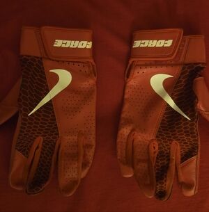 Nike Red and Black Force Gloves